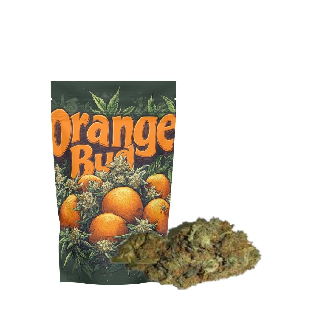 ORANGE BUD