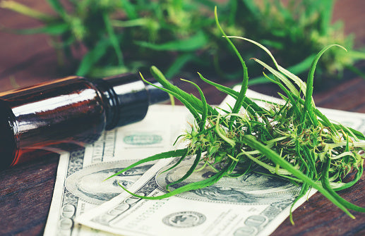 cannabis avec extrait de cannabidiol (cbd) sur un billet de cent dollars