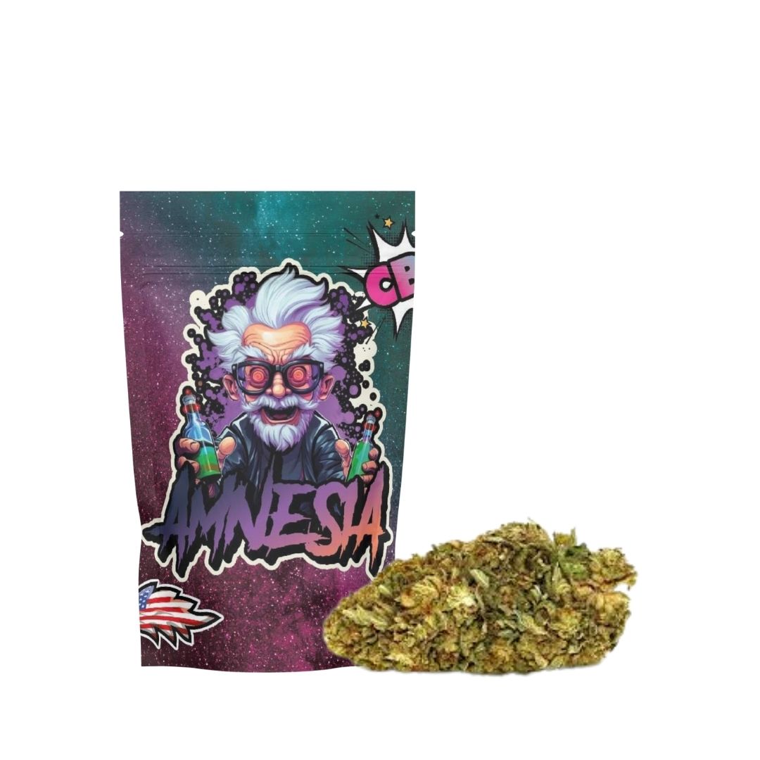 AMNESIA