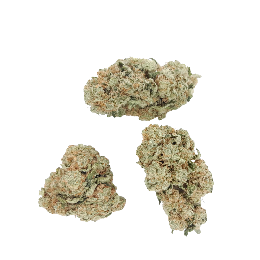 Amnesia CBD - Fleur Indoor Premium 24% | CBDAV Store