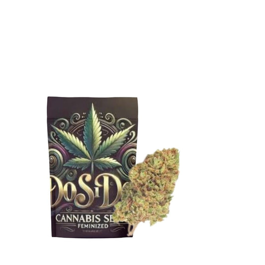 Dos Si Dos