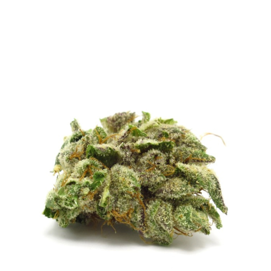 Fleur CBD Shiva Kush macro trichomes cristallins indoor 18% - CBDAV Store
