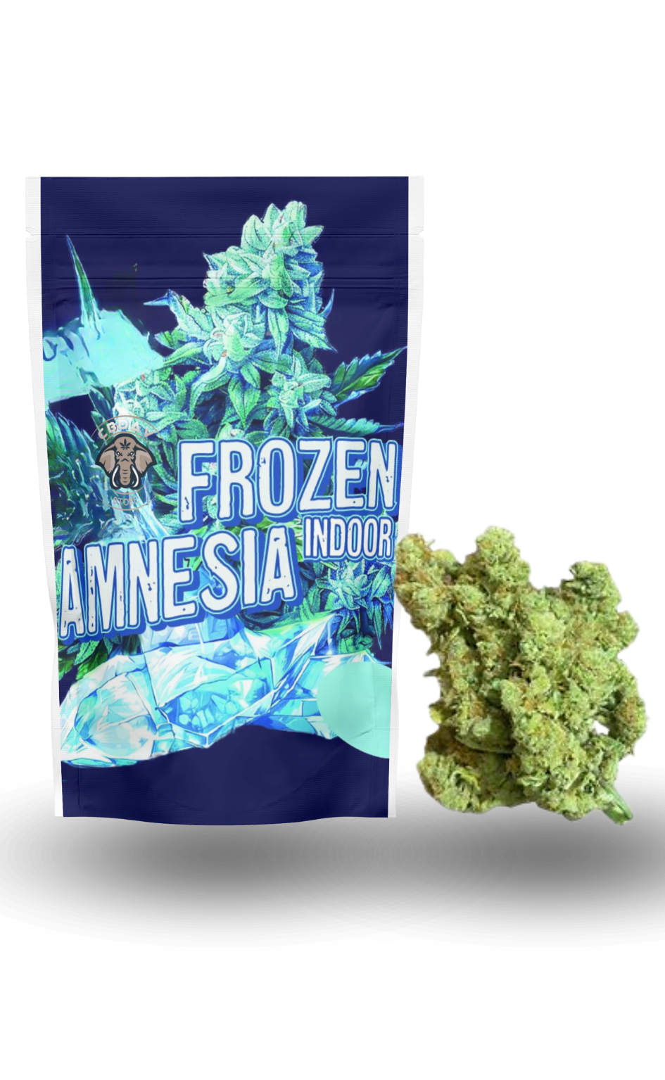 AMNESIA FROZEN